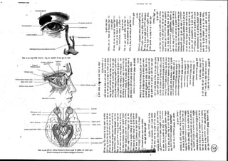 Anatomy 2nd semester 4th pepar