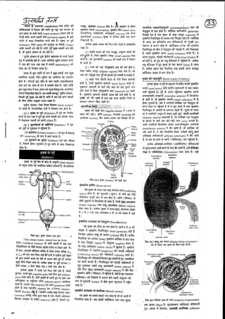 Anatomy 2nd semester 4th pepar