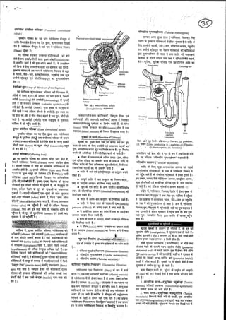 Anatomy 2nd semester 4th pepar