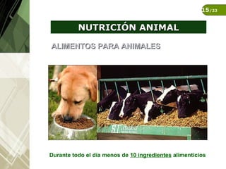 Introducción a la Alimentación y Nutrición Animal