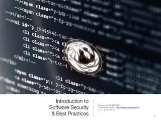 Introduction to Software Security and Best Practices | PDF