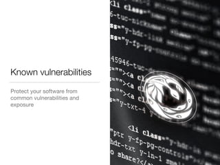 Introduction to Software Security and Best Practices | PDF