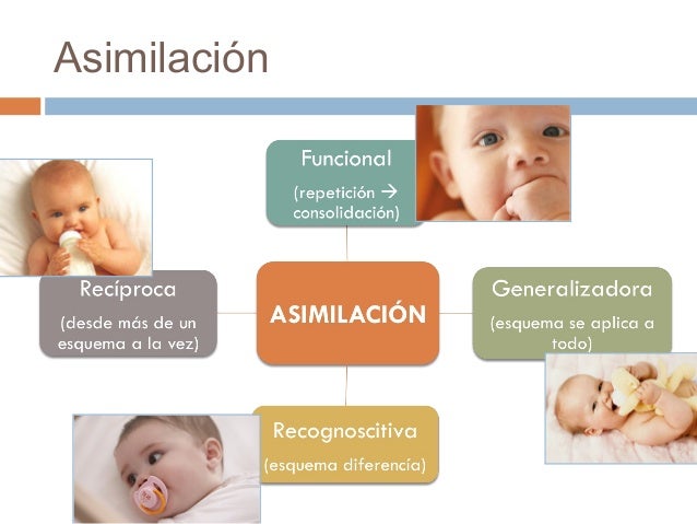 Invariantes funcionales de Piaget