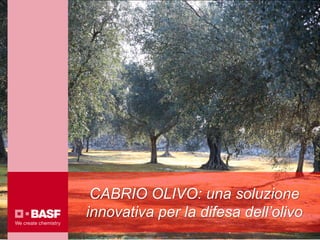 CABRIO OLIVO: una soluzione
innovativa per la difesa dell’olivo
 