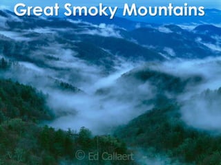 Great Smoky Mountains 
 