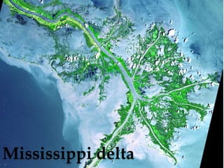 Mississippi delta 
 