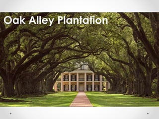 Oak Alley Plantation 
 