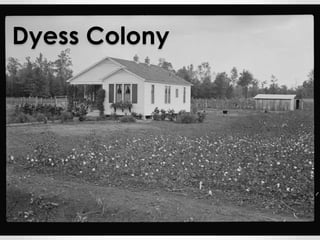Dyess Colony 
 