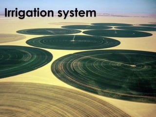 Irrigation system 
 