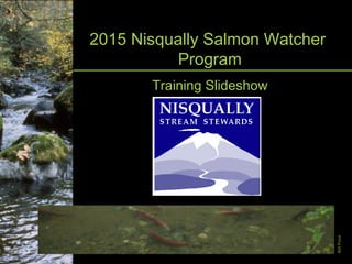 Salmon Watchers2015 Nisqually Salmon Watcher
Program
Training Slideshow
BillPriest
 