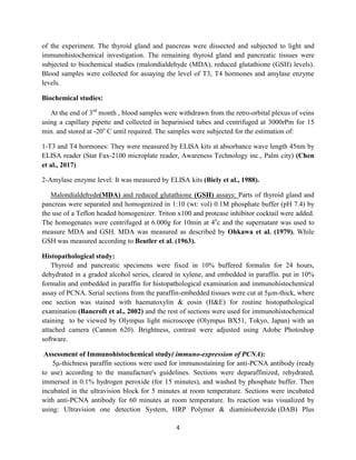 4
of the experiment. The thyroid gland and pancreas were dissected and subjected to light and
immunohistochemical investigation. The remaining thyroid gland and pancreatic tissues were
subjected to biochemical studies (malondialdehyde (MDA), reduced glutathione (GSH) levels).
Blood samples were collected for assaying the level of T3, T4 hormones and amylase enzyme
levels.
Biochemical studies:
At the end of 3rd
month , blood samples were withdrawn from the retro-orbital plexus of veins
using a capillary pipette and collected in heparinised tubes and centrifuged at 3000rPm for 15
min. and stored at -20o
C until required. The samples were subjected for the estimation of:
1-T3 and T4 hormones: They were measured by ELISA kits at absorbance wave length 45nm by
ELISA reader (Stat Fax-2100 microplate reader, Awareness Technology inc., Palm city) (Chen
et al., 2017)
2-Amylase enzyme level: It was measured by ELISA kits (Biely et al., 1988).
Malondialdehyde(MDA) and reduced glutathione (GSH) assays: Parts of thyroid gland and
pancreas were separated and homogenized in 1:10 (wt: vol) 0.1M phosphate buffer (pH 7.4) by
the use of a Teflon headed homogenizer. Triton x100 and protease inhibitor cocktail were added.
The homogenates were centrifuged at 6.000g for 10min at 4o
c and the supernatant was used to
measure MDA and GSH. MDA was measured as described by Ohkawa et al. (1979). While
GSH was measured according to Beutler et al. (1963).
Histopathological study:
Thyroid and pancreatic specimens were fixed in 10% buffered formalin for 24 hours,
dehydrated in a graded alcohol series, cleared in xylene, and embedded in paraffin. put in 10%
formalin and embedded in paraffin for histopathological examination and immunohistochemical
assay of PCNA. Serial sections from the paraffin-embedded tissues were cut at 5µm-thick, where
one section was stained with haematoxylin & eosin (H&E) for routine histopathological
examination (Bancroft et al., 2002) and the rest of sections were used for immunohistochemical
staining to be viewed by Olympus light microscope (Olympus BX51, Tokyo, Japan) with an
attached camera (Cannon 620). Brightness, contrast were adjusted using Adobe Photoshop
software.
Assessment of Immunohistochemical study( immuno-expression of PCNA):
5μ-thichness paraffin sections were used for immunostaining for anti-PCNA antibody (ready
to use) according to the manufacture's guidelines. Sections were deparaffinized, rehydrated,
immersed in 0.1% hydrogen peroxide (for 15 minutes), and washed by phosphate buffer. Then
incubated in the ultravision block for 5 minutes at room temperature. Sections were incubated
with anti-PCNA antibody for 60 minutes at room temperature. Its reaction was visualized by
using: Ultravision one detection System, HRP Polymer & diaminiobenzide (DAB) Plus
 