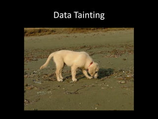 Data Tainting