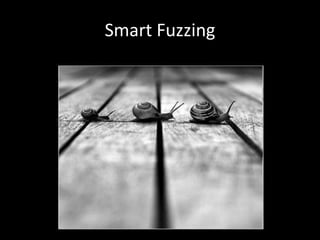 Smart Fuzzing