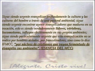 Sigue siendo urgente evangelizar profundamente la cultura y lasSigue siendo urgente evangelizar profundamente la cultura y las
culturas del hombre a través de una pastoral ambiental; sigueculturas del hombre a través de una pastoral ambiental; sigue
siendo urgente encontrar agente evangelizadores que maduros en susiendo urgente encontrar agente evangelizadores que maduros en su
vocación, esto es siendo verdaderamentevocación, esto es siendo verdaderamente líderes, vértebras,líderes, vértebras,
locomotoraslocomotoras, influyan efectivamente en sus propios ambientes;, influyan efectivamente en sus propios ambientes;
sigue siendo particularmente urgente que esta evangelización no sesigue siendo particularmente urgente que esta evangelización no se
realice por hombres aislados, por francotiradores, sino como lo dicerealice por hombres aislados, por francotiradores, sino como lo dice
IFMCC,IFMCC, “por núcleos de cristianos que vayan fermentado de“por núcleos de cristianos que vayan fermentado de
evangelio sus ambientes”.evangelio sus ambientes”. (ESENCIA DEL MCC)(ESENCIA DEL MCC)
 