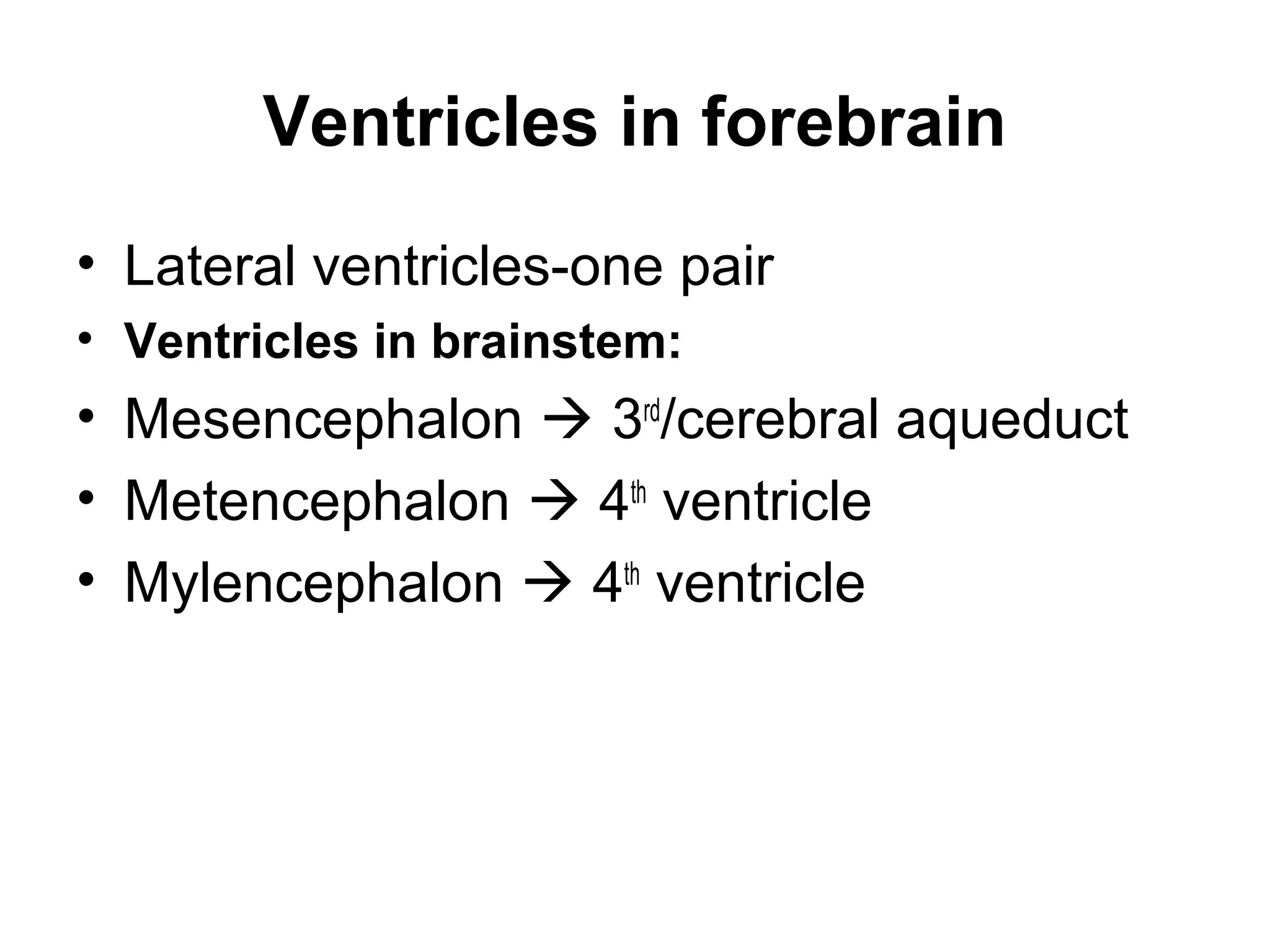Ventricles in forebrain
• Lateral ventricles-one pair
• Ventricles in brainstem:
• Mesencephalon  3rd
/cerebral aqueduct
• Metencephalon  4th
ventricle
• Mylencephalon  4th
ventricle
 
