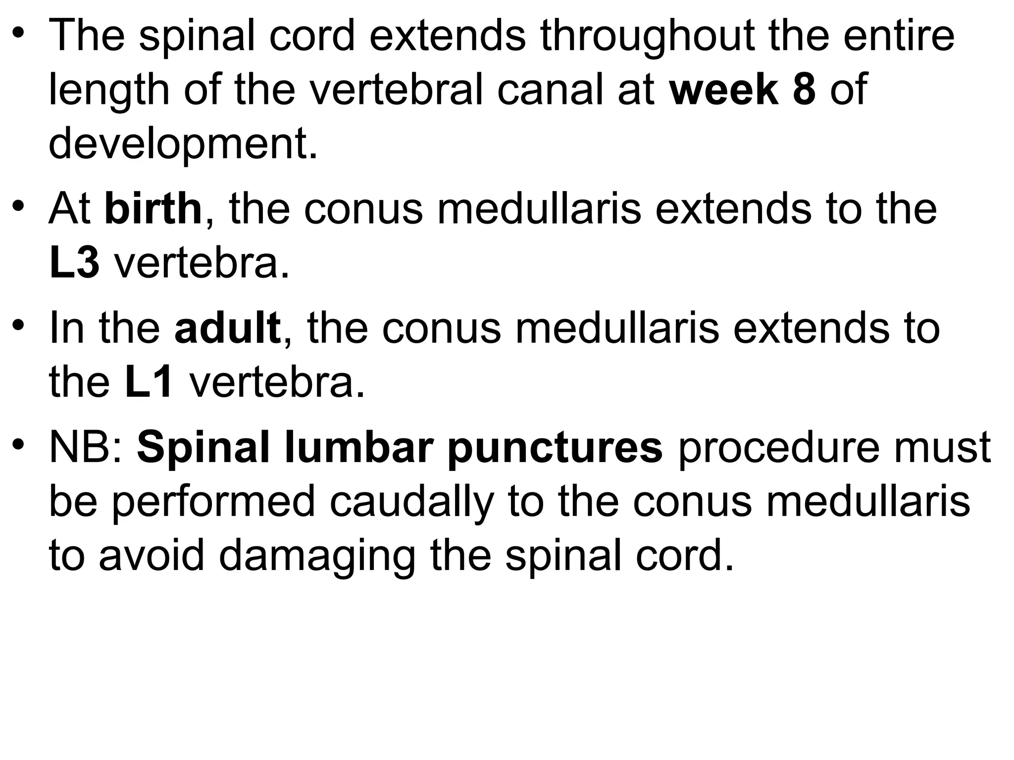 • The spinal cord extends throughout the entire
length of the vertebral canal at week 8 of
development.
• At birth, the conus medullaris extends to the
L3 vertebra.
• In the adult, the conus medullaris extends to
the L1 vertebra.
• NB: Spinal lumbar punctures procedure must
be performed caudally to the conus medullaris
to avoid damaging the spinal cord.
 