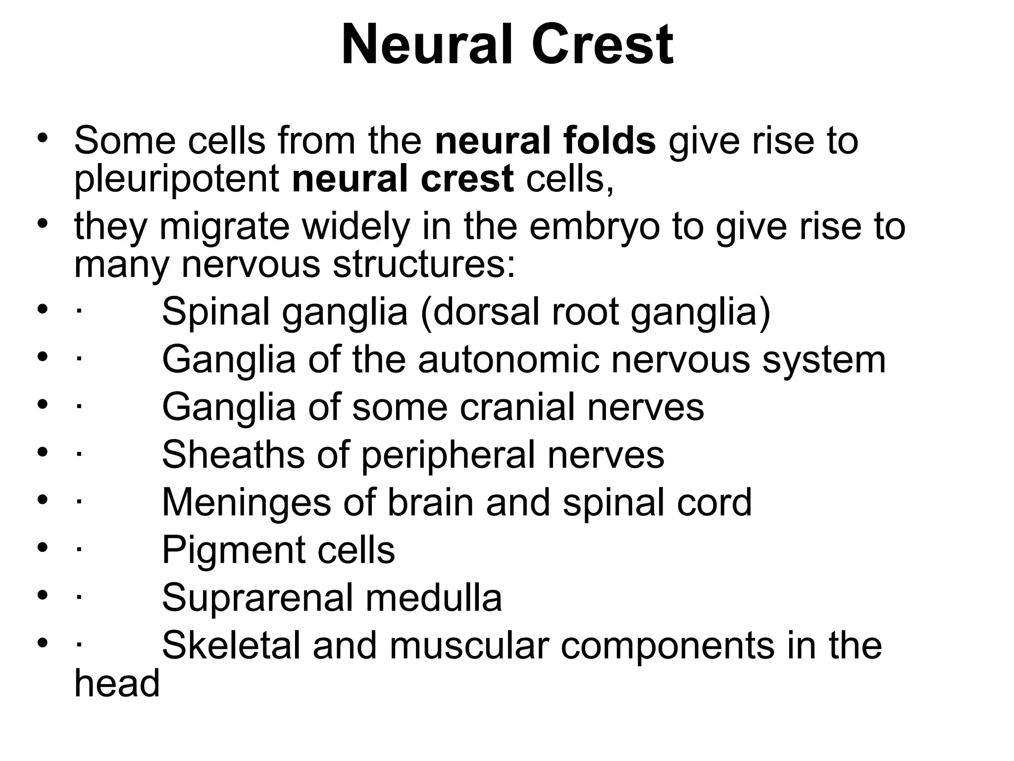 Neural Crest
• Some cells from the neural folds give rise to
pleuripotent neural crest cells,
• they migrate widely in the embryo to give rise to
many nervous structures:
• · Spinal ganglia (dorsal root ganglia)
• · Ganglia of the autonomic nervous system
• · Ganglia of some cranial nerves
• · Sheaths of peripheral nerves
• · Meninges of brain and spinal cord
• · Pigment cells
• · Suprarenal medulla
• · Skeletal and muscular components in the
head
 