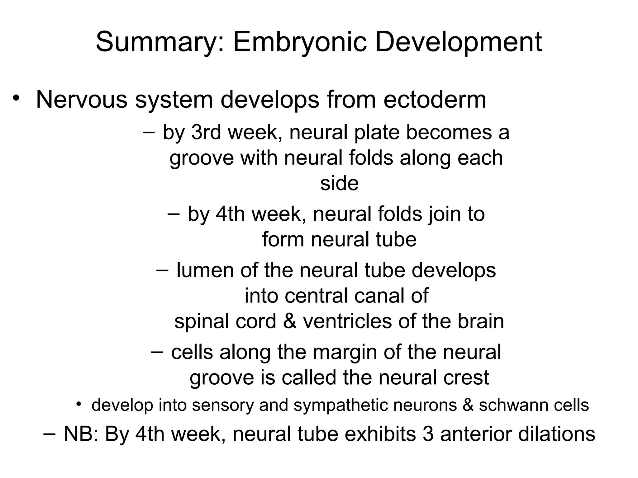 Summary: Embryonic Development
• Nervous system develops from ectoderm
– by 3rd week, neural plate becomes a
groove with neural folds along each
side
– by 4th week, neural folds join to
form neural tube
– lumen of the neural tube develops
into central canal of
spinal cord & ventricles of the brain
– cells along the margin of the neural
groove is called the neural crest
• develop into sensory and sympathetic neurons & schwann cells
– NB: By 4th week, neural tube exhibits 3 anterior dilations
 