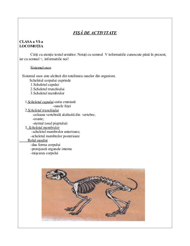 Proiect De Lectie Locomotia La Animale Si Plante