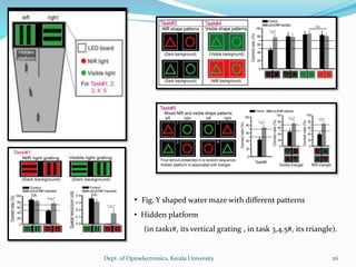 Task1 Mask Pattern Mammalian Near IR vision | PPTX