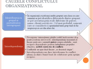 CAUZELE CONFLICTULUI
ORGANIZAŢIONAL
 