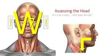!7
Assessing the Head
“A 7, a W, a snap! …. then down the hole”
!
 
