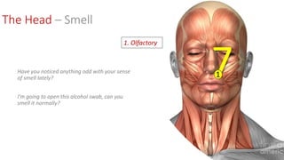 The Head – Smell
Have you noticed anything odd with your sense
of smell lately?
I’m going to open this alcohol swab, can you
smell it normally?
1. Olfactory
 