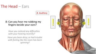 The Head – Ears
8: Can you hear me rubbing my
fingers beside your ears?
Have you noticed any difficulties
with your hearing recently?
Have you been dizzy, or had trouble
with feeling like the room has been
spinning?
8. Auditory
 