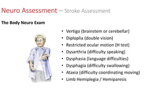 • Vertigo (brainstem or cerebellar)
• Diploplia (double vision)
• Restricted ocular motion (H test)
• Dysarthria (difficulty speaking)
• Dysphasia (language difficulties)
• Dysphagia (difficulty swallowing)
• Ataxia (difficulty coordinating moving)
• Limb Hemiplegia / Hemiparesis
Neuro Assessment – Stroke Assessment
The Body Neuro Exam
 