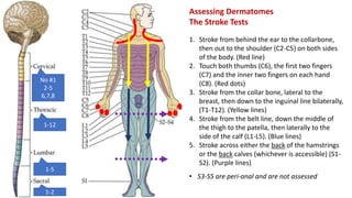 Assessing Dermatomes
The Stroke Tests
1. Stroke from behind the ear to the collarbone,
then out to the shoulder (C2-C5) on both sides
of the body. (Red line)
2. Touch both thumbs (C6), the first two fingers
(C7) and the inner two fingers on each hand
(C8). (Red dots)
3. Stroke from the collar bone, lateral to the
breast, then down to the inguinal line bilaterally,
(T1-T12). (Yellow lines)
4. Stroke from the belt line, down the middle of
the thigh to the patella, then laterally to the
side of the calf (L1-L5). (Blue lines)
5. Stroke across either the back of the hamstrings
or the back calves (whichever is accessible) (S1-
S2). (Purple lines)
• S3-S5 are peri-anal and are not assessed
No #1
2-5
6,7,8
1-12
1-5
1-2
 