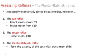 78 |
• Not usually intentionally tested by paramedics, however …
1. The gag reflex
• Intact sensory from C9
• Intact motor from C10
2. The cough reflex
• Intact motor C10
3. The Plantar-Babinski reflex
• Tests the patency of the pyramidal tracts (next slide)
Assessing Reflexes – The Plantar-Babinski reflex
 