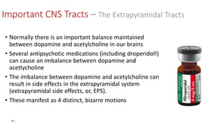 98 |
• Normally there is an important balance maintained
between dopamine and acetylcholine in our brains
• Several antipsychotic medications (including droperidol!)
can cause an imbalance between dopamine and
acetlycholine
• The imbalance between dopamine and acetylcholine can
result in side effects in the extrapyramidal system
(extrapyramidal side effects, or, EPS).
• These manifest as 4 distinct, bizarre motions
Important CNS Tracts – The Extrapyramidal Tracts
 