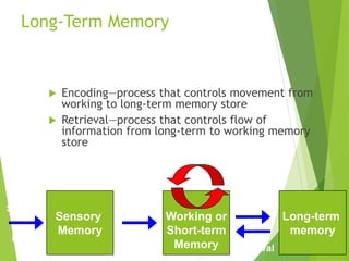 Long-Term Memory
 Encoding—process that controls movement from
working to long-term memory store
 Retrieval—process that controls flow of
information from long-term to working memory
store
Long-term
memory
Working or
Short-term
Memory
Sensory
Input
Sensory
Memory
Attention
Encoding
Retrieval
Maintenance Rehearsal
 
