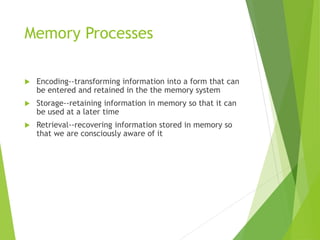 Memory Processes
 Encoding--transforming information into a form that can
be entered and retained in the the memory system
 Storage--retaining information in memory so that it can
be used at a later time
 Retrieval--recovering information stored in memory so
that we are consciously aware of it
 