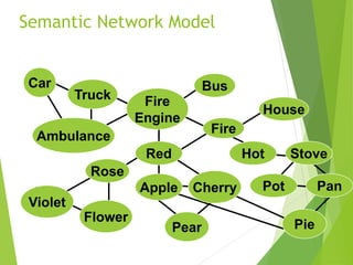 Semantic Network Model
Red
Fire
House
CherryApple
Rose
Pear
Ambulance
Fire
Engine
Truck
BusCar
Flower
Violet
Hot
Pot
Stove
Pan
Pie
 