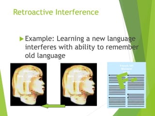 French 101
Mid-term
exam
Retroactive Interference
Example: Learning a new language
interferes with ability to remember
old language
Study French
papier
livre plume
école
Study Spanish
papel
libro pluma
escuela
retroactive interference
 