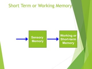 Short Term or Working Memory
Working or
Short-term
Memory
Sensory
Input
Sensory
Memory
Attention
 