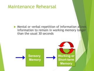 Maintenance Rehearsal
 Mental or verbal repetition of information allows
information to remain in working memory longer
than the usual 30 seconds
Working or
Short-term
Memory
Sensory
Input
Sensory
Memory
Attention
Maintenance Rehearsal
 
