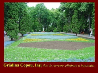 Grădina Copou, IaşiGrădina Copou, Iaşi (loc de recreere, plimbare şi inspiraţie)(loc de recreere, plimbare şi inspiraţie)
 