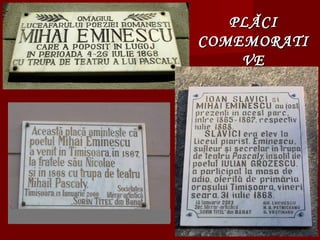 PLĂCIPLĂCI
COMEMORATICOMEMORATI
VEVE
 