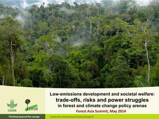 Low-emissions development and societal welfare:
trade-offs, risks and power struggles
in forest and climate change policy arenas
Forest Asia Summit, May 2014
 