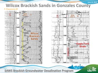 June 12, 2014
SAWS Brackish Groundwater Desalination Program
Page 13
Wilcox Brackish Sands in Gonzales County
F. Passmore #1
 