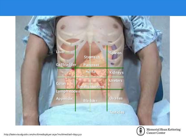 download interventional magnetic resonance imaging