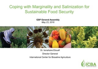 Coping with Marginality and Salinization for
Sustainable Food Security
Dr. Ismahane Elouafi
Director General
International Center for Biosaline Agriculture
GSP General Assembly
May 23, 2016
 