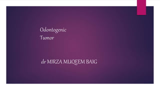 Odontogenic
Tumor
dr MIRZA MUQEEM BAIG
 