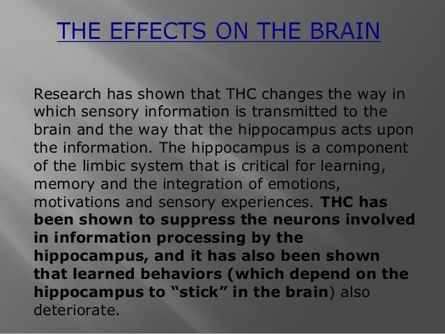 Essay on drug use image