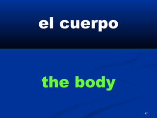 47
el cuerpo
the body
 