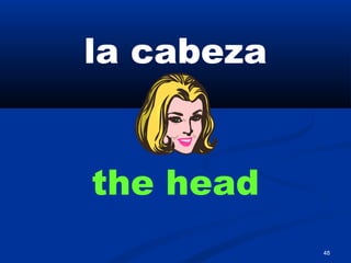 48
la cabeza
the head
 