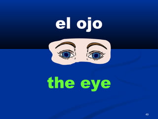 49
el ojo
the eye
 