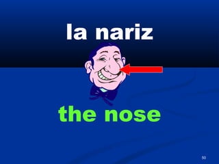 50
la nariz
the nose
 